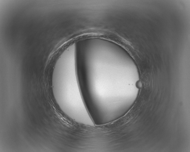 X0000056311448200508260812