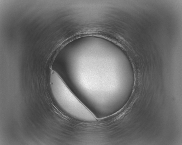X0000056311449200508260812