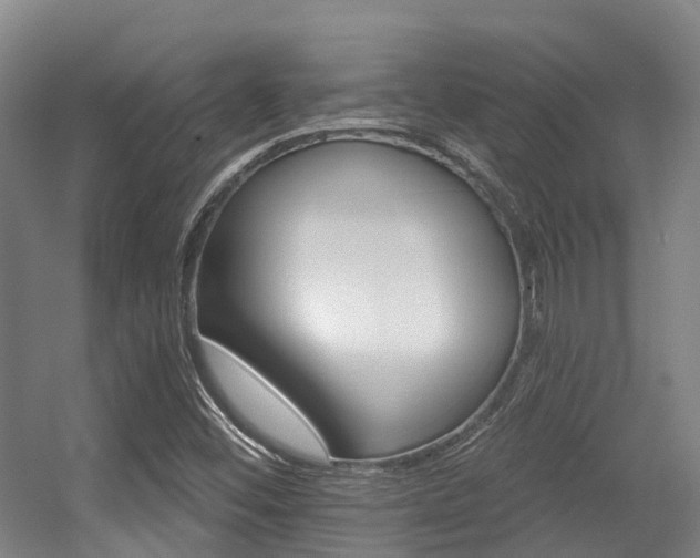 X0000056311452200508260812