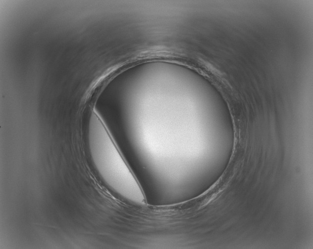 X0000056311453200508260812