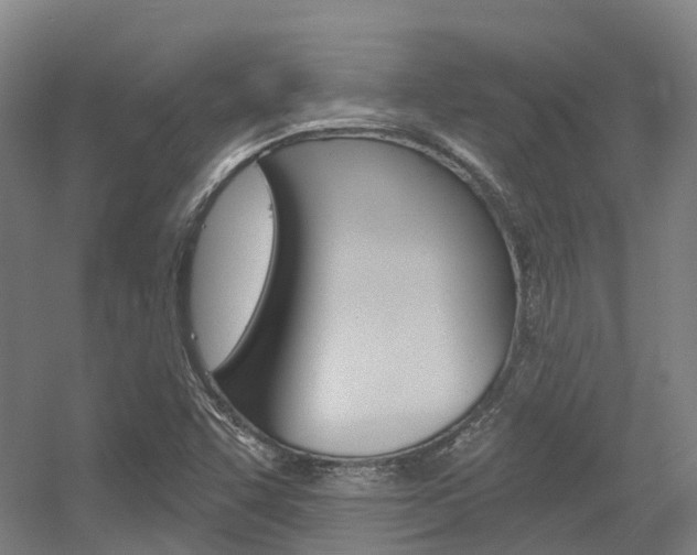 X0000056311455200508260812