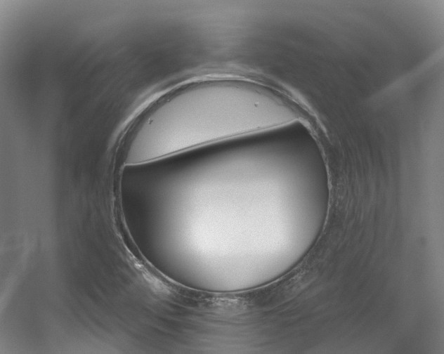 X0000056311456200508260812