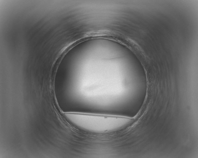 X0000056311457200508260812