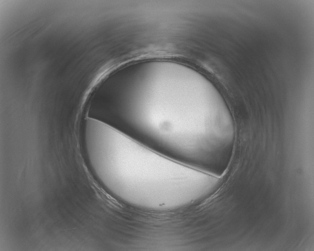X0000056311459200508260812