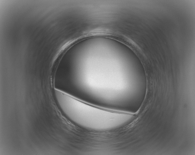 X0000056311461200508260812