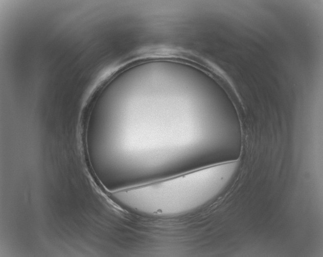 X0000056311464200508260812