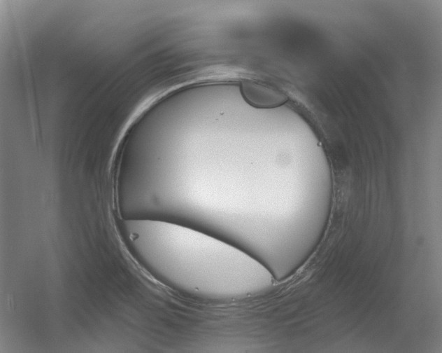 X0000056311467200508260812