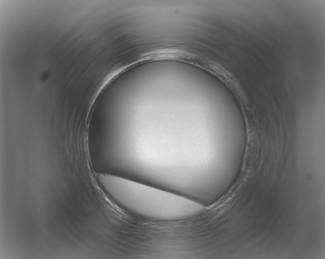 X0000056311473200508260812