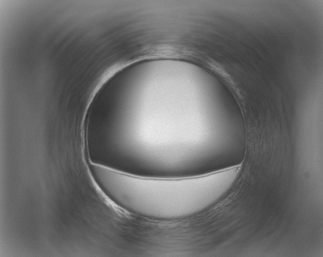 X0000056311479200508260812