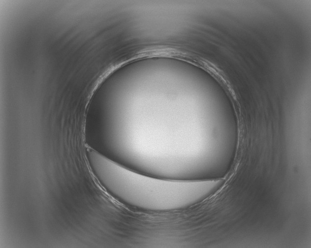 X0000056311481200508260812
