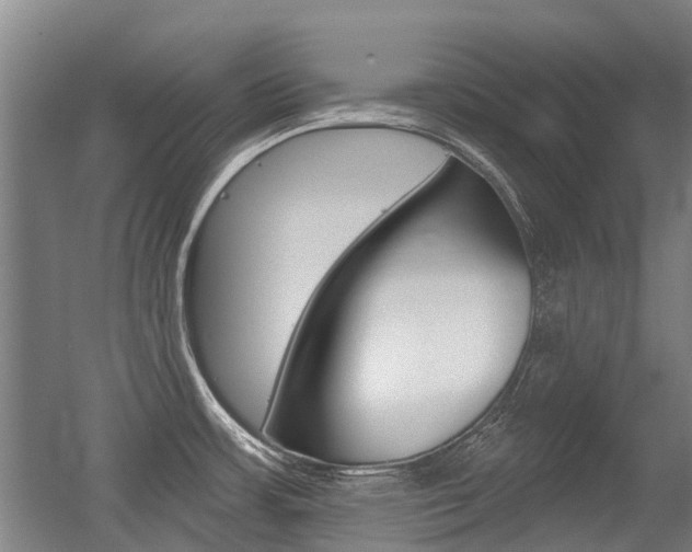 X0000056311483200508260812