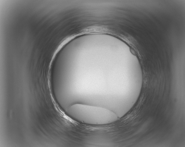 X0000056311486200508260812
