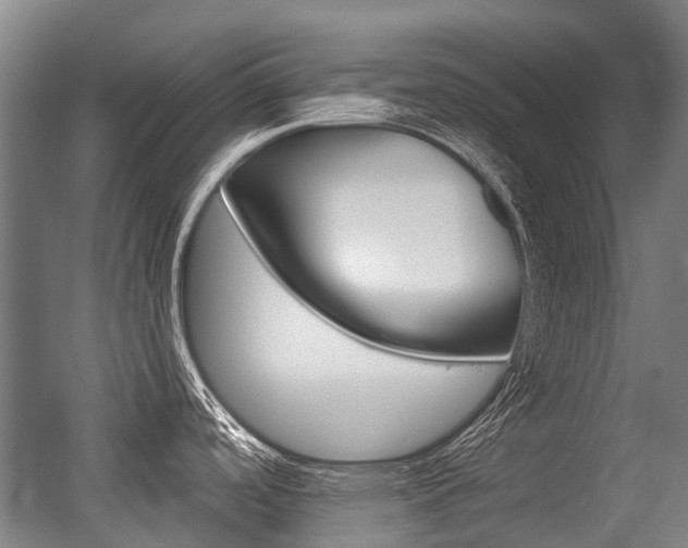 X0000056311488200508260812
