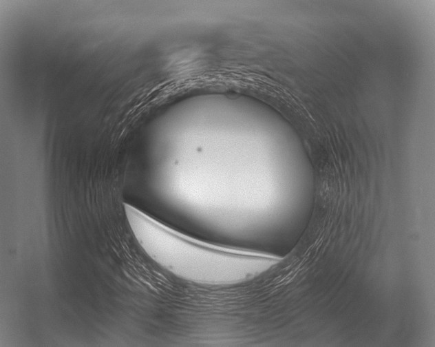 X0000056311490200508260811