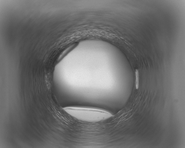 X0000056311491200508260811