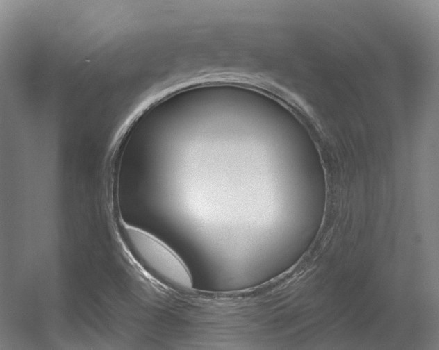 X0000056311504200508260811