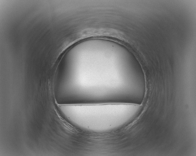 X0000056311505200508260811