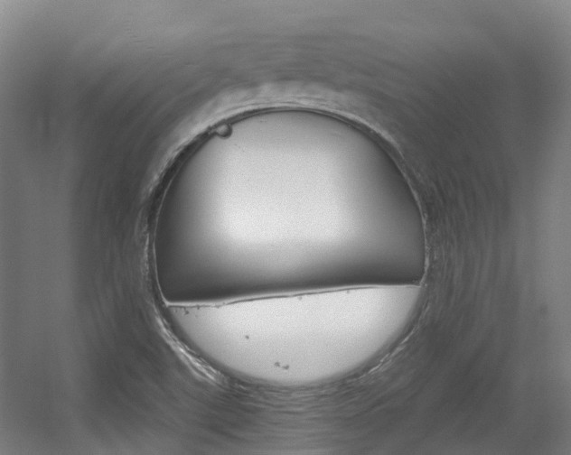 X0000056311507200508260811