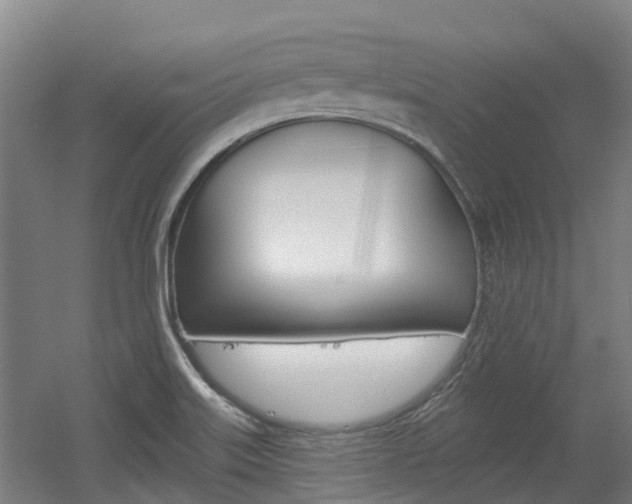 X0000056311515200508260811