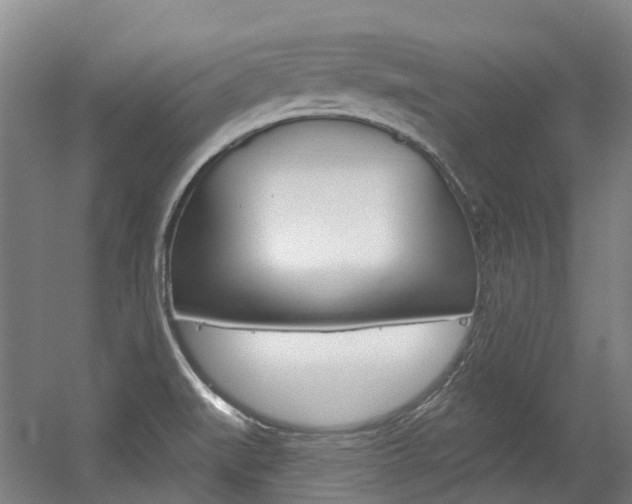 X0000056311519200508260811