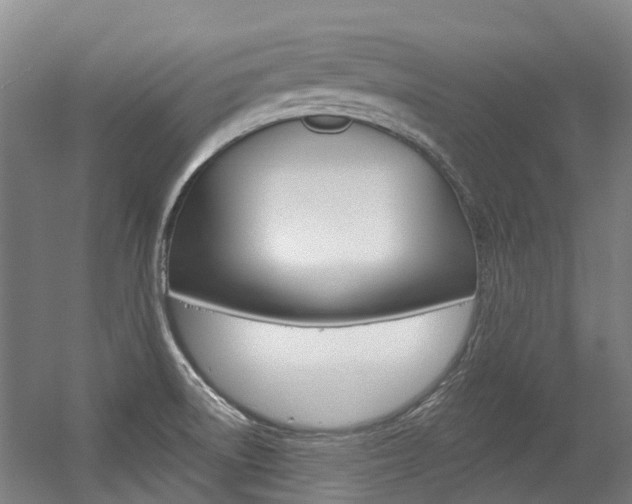 X0000056311522200508260811