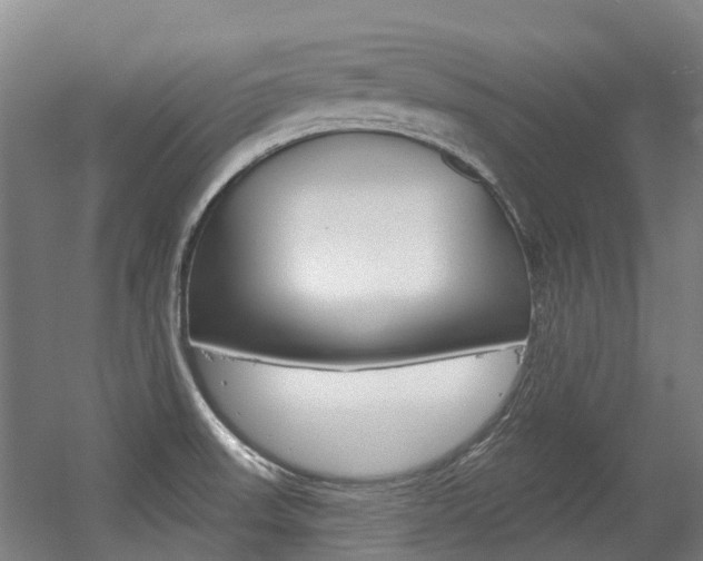 X0000056311523200508260811