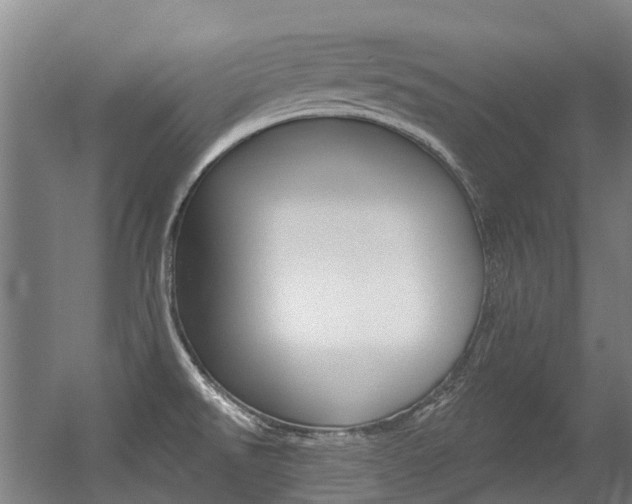 X0000056311526200508260811