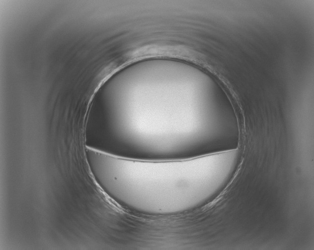 X0000056311529200508260811