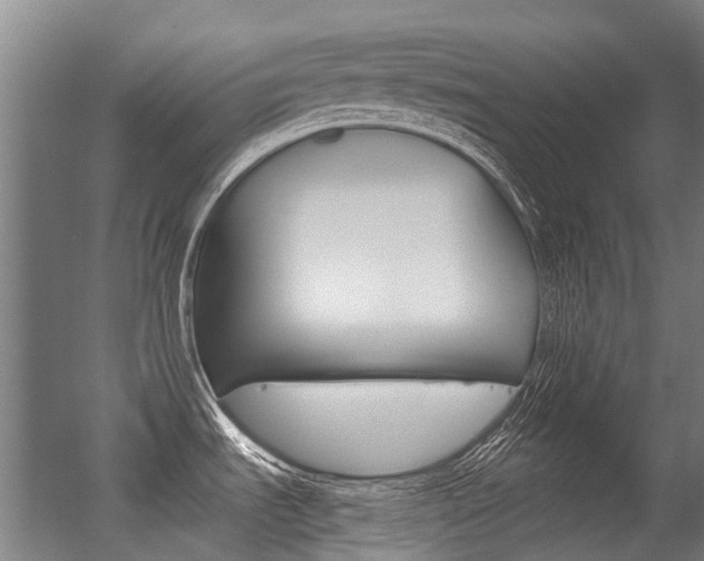 X0000056311535200508260812