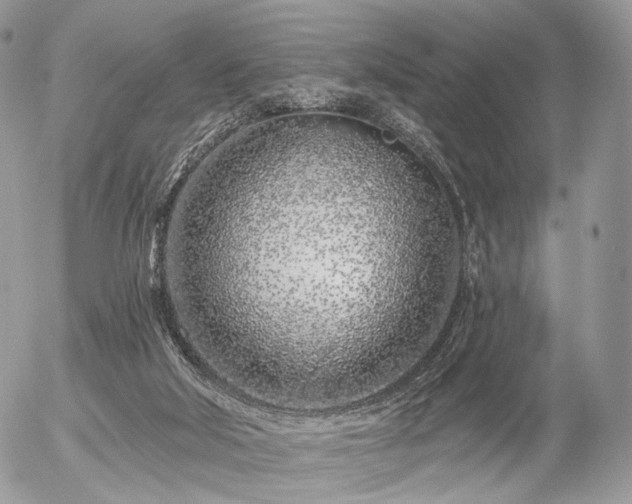 X0000056310018200508261141