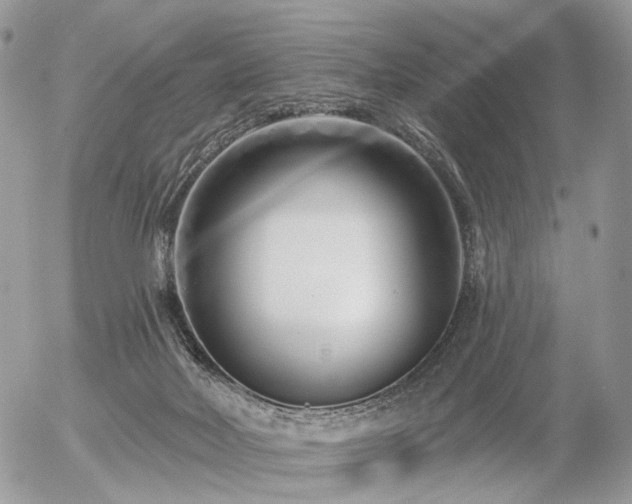X0000056310026200508261141