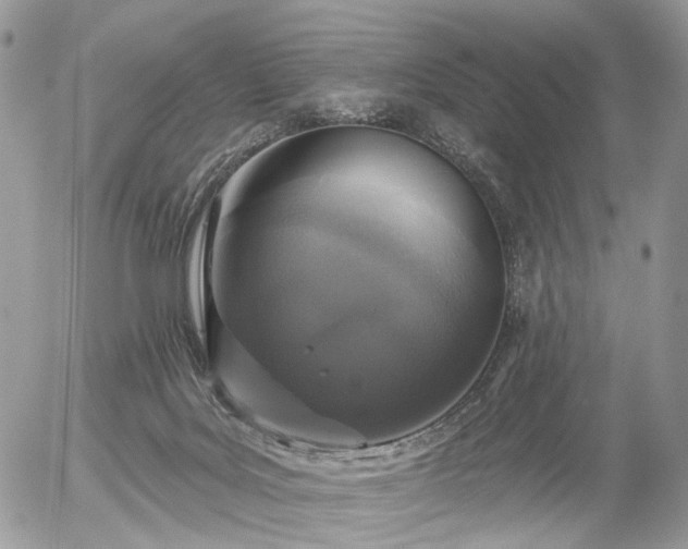 X0000056310027200508261141