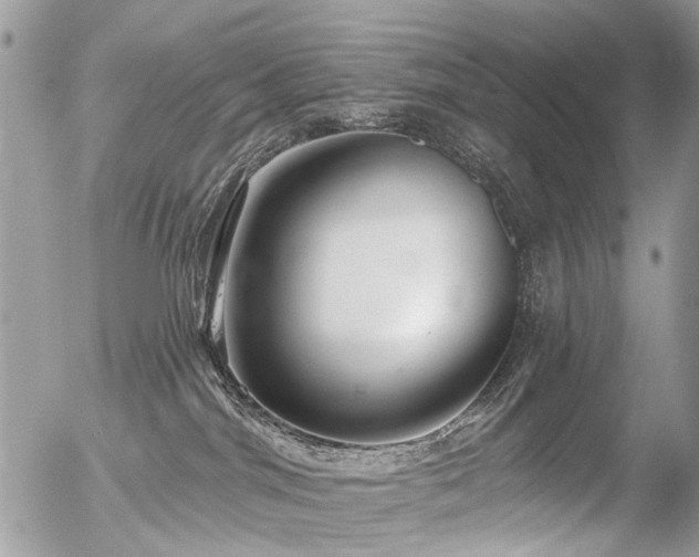 X0000056310044200508261141