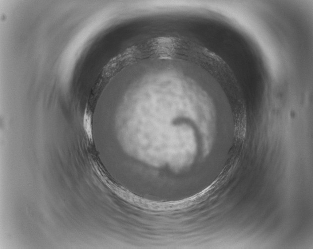 X0000056310047200508261140