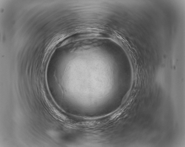 X0000056310049200508261140