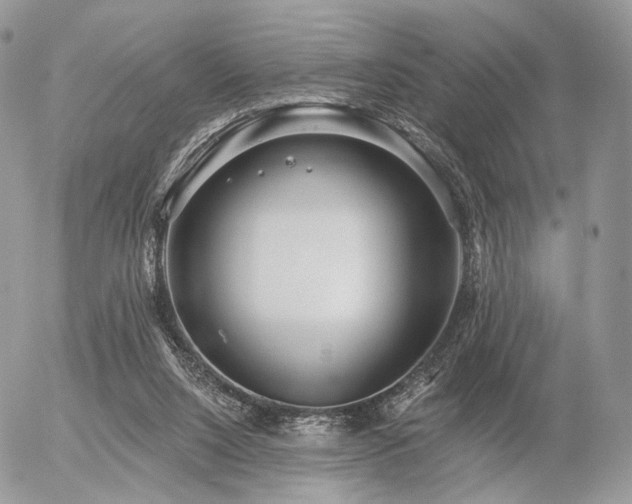 X0000056310064200508261140