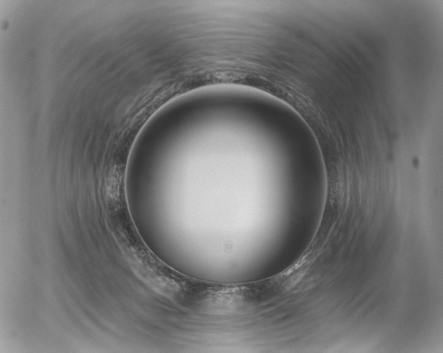 X0000056310078200508261140