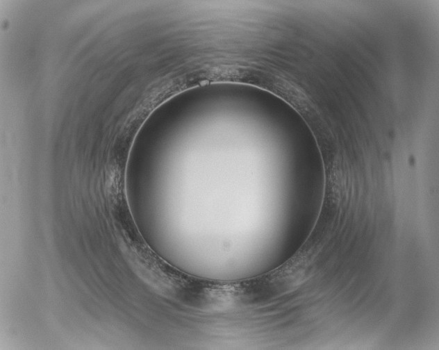 X0000056310079200508261140