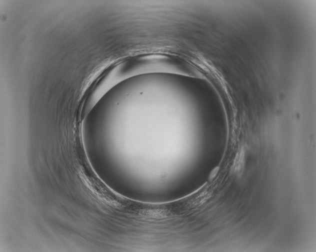 X0000056310107200508261139