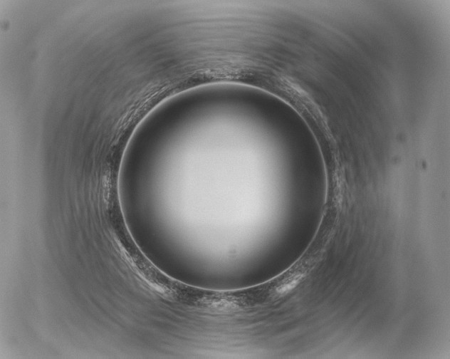 X0000056310113200508261139