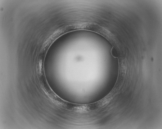 X0000056310118200508261139