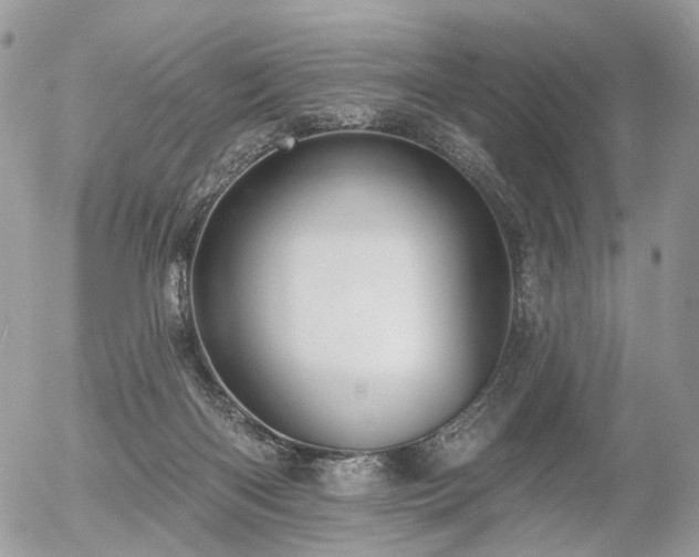 X0000056310122200508261139