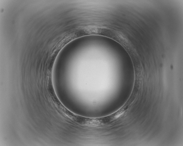 X0000056310125200508261139