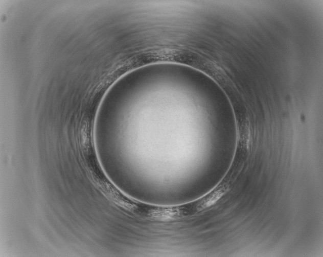 X0000056310131200508261139