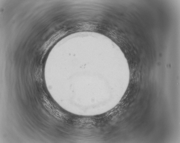 X0000056310146200508261138