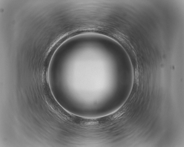 X0000056310156200508261138
