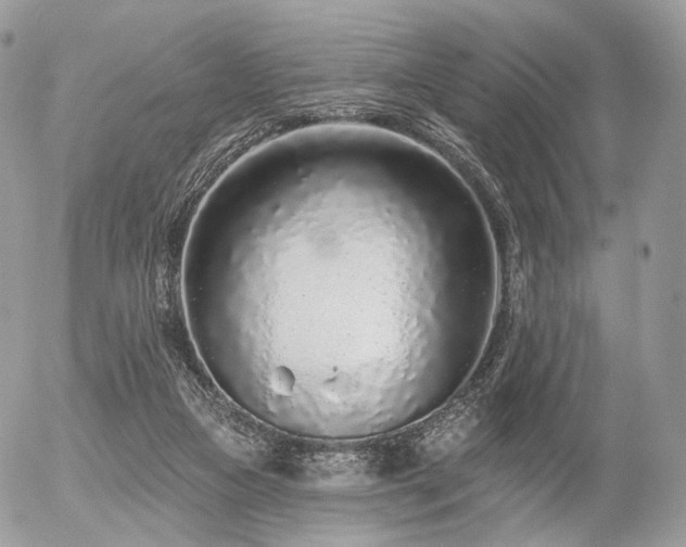 X0000056310161200508261138