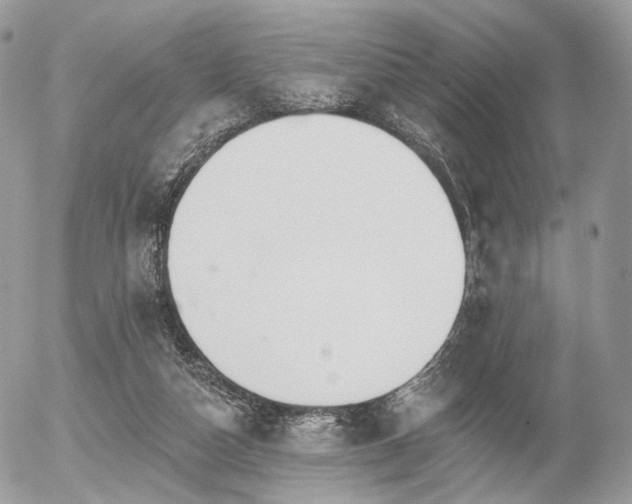X0000056310162200508261138