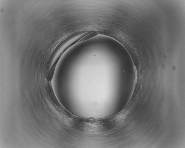 X0000056310164200508261138