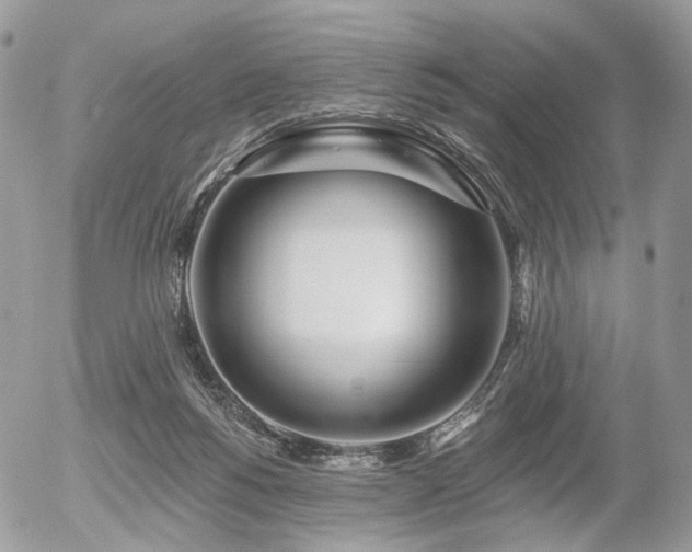 X0000056310168200508261138
